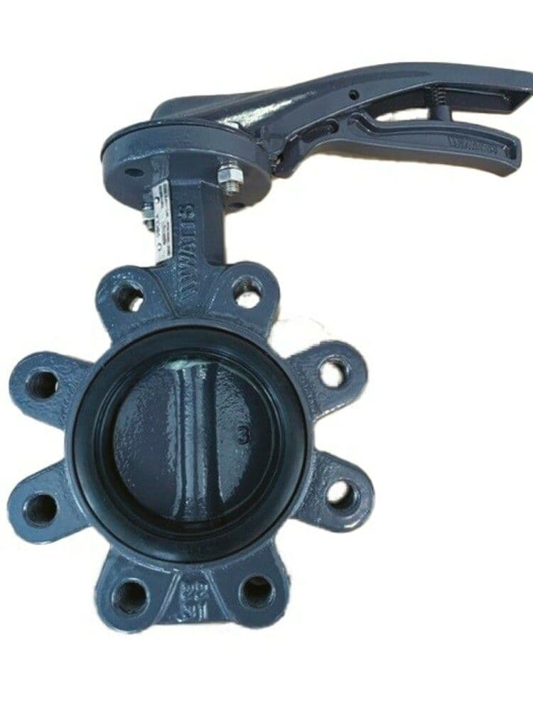 Watts Industries Socla Xylia2 vanne à papillon LUG époxy 150 PN16 vue 1