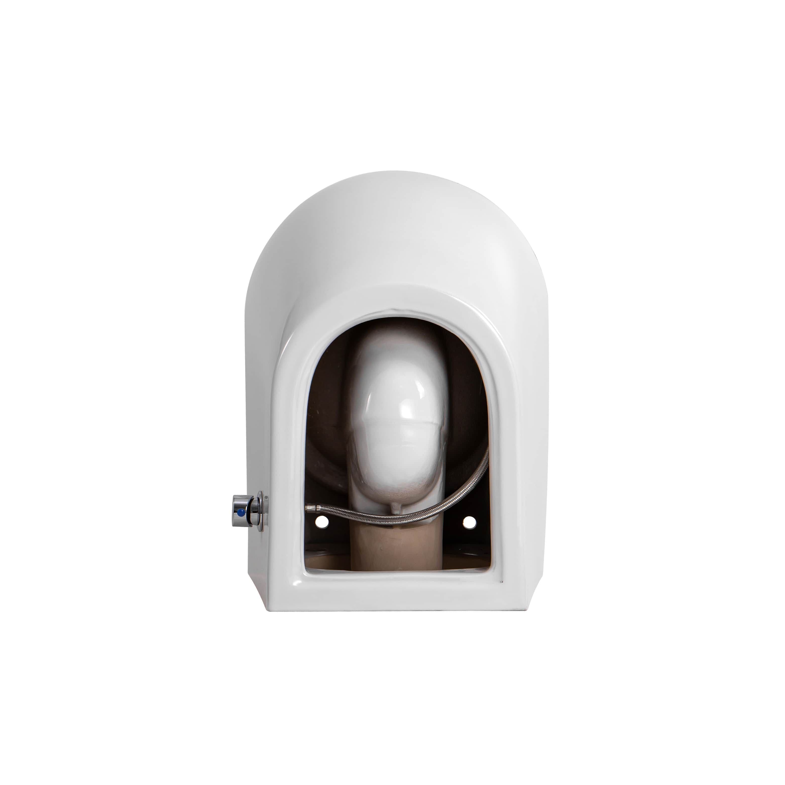 DARLO HANGTOILET MET BIDET - RANDLOOS - MET BIDETKRAAN KOUD WATER - ZONDER ZITTING - COMPACT 49 CM - GLANZEND WIT vue 1