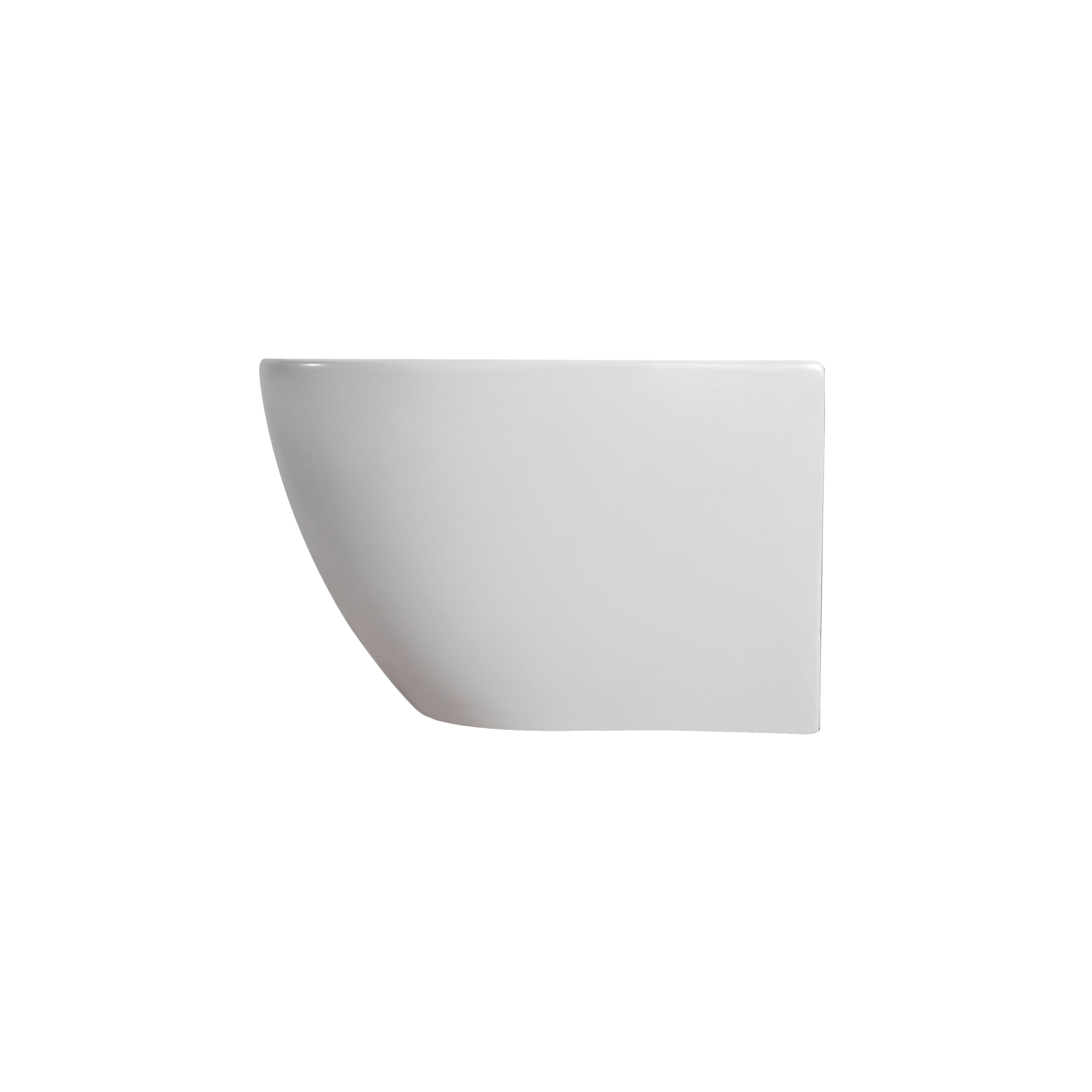 DARLO HANGTOILET MET BIDET - RANDLOOS - MET BIDETKRAAN KOUD EN WARM WATER - ZONDER ZITTING - COMPACT 49 CM - GLANZEND WIT vue 1