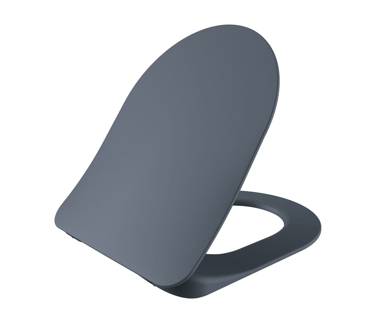 WC-ZITTING DUROPLAST (SOFT-CLOSE & QUICK RELEASE) MET INOX SCHARNIEREN - MAT BASALT vue 1