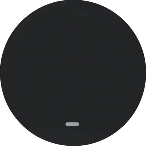 Touche avec voyant transparent Berker R.1 / R.3 Noir, brillant