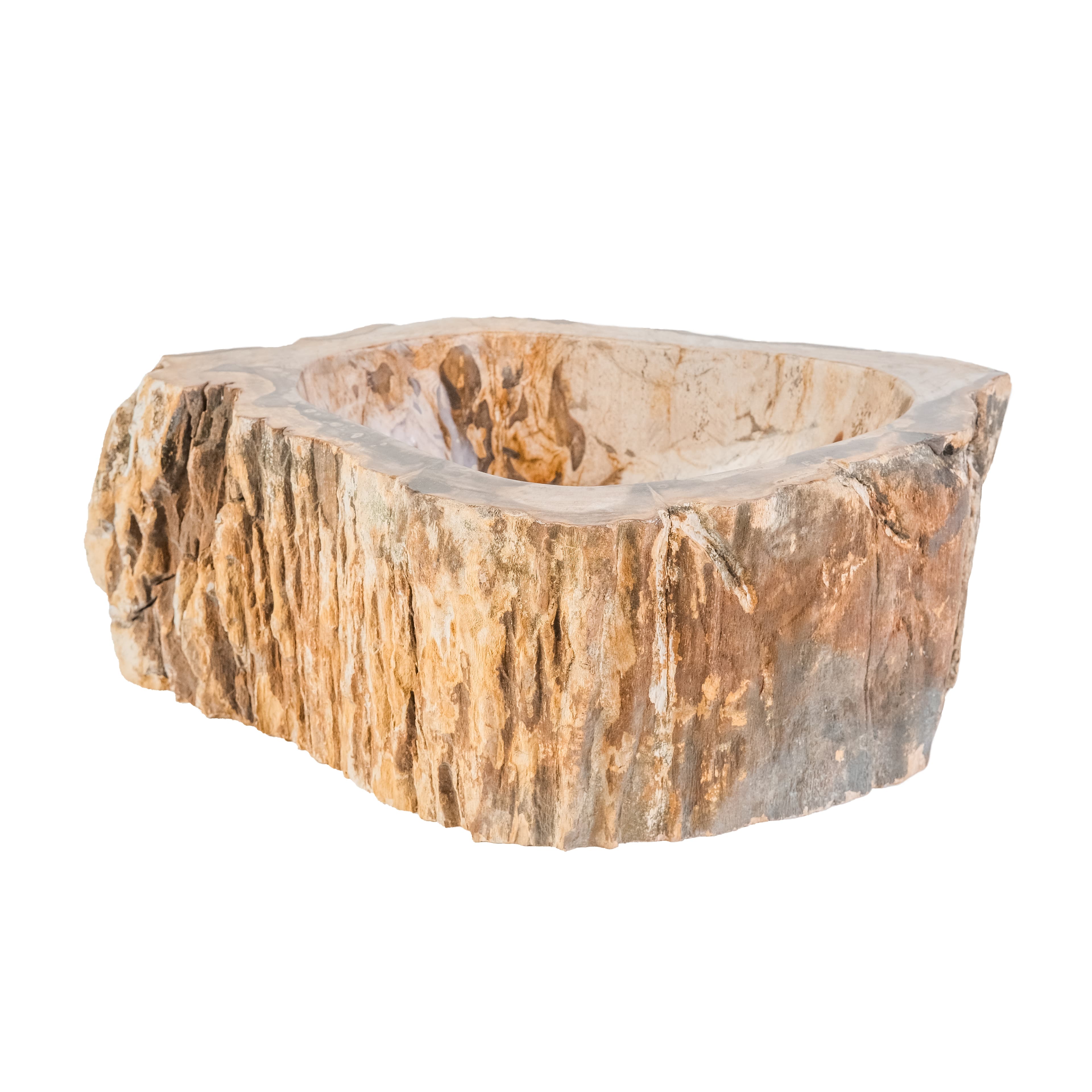 VASQUE EN BOIS FOSSILISÉ 30-35x15CM