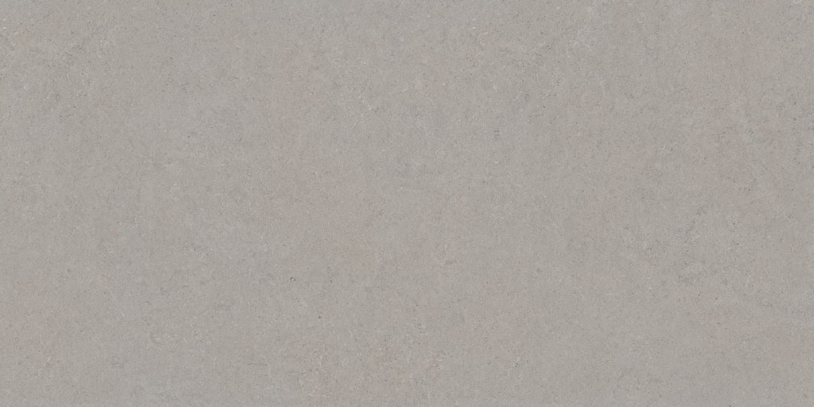CALCARE SILVER 120×280(6mm) SP