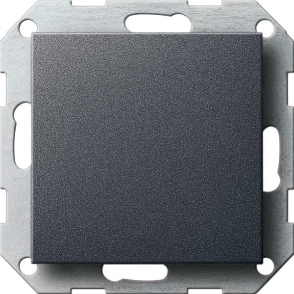 Cache borgne avec anneau de support Anthracite uniquement pour fixation par vis.