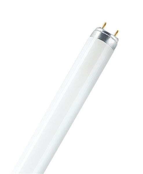 L 58W / 72 Biolux lumiere pour votre animal (poissons reptiles oiseaux....