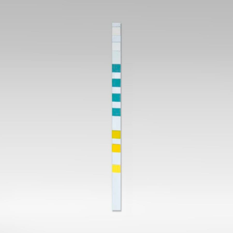 SIMPLEX FILTRE FIN POUR EAU DE VILLE DURLEM KIT