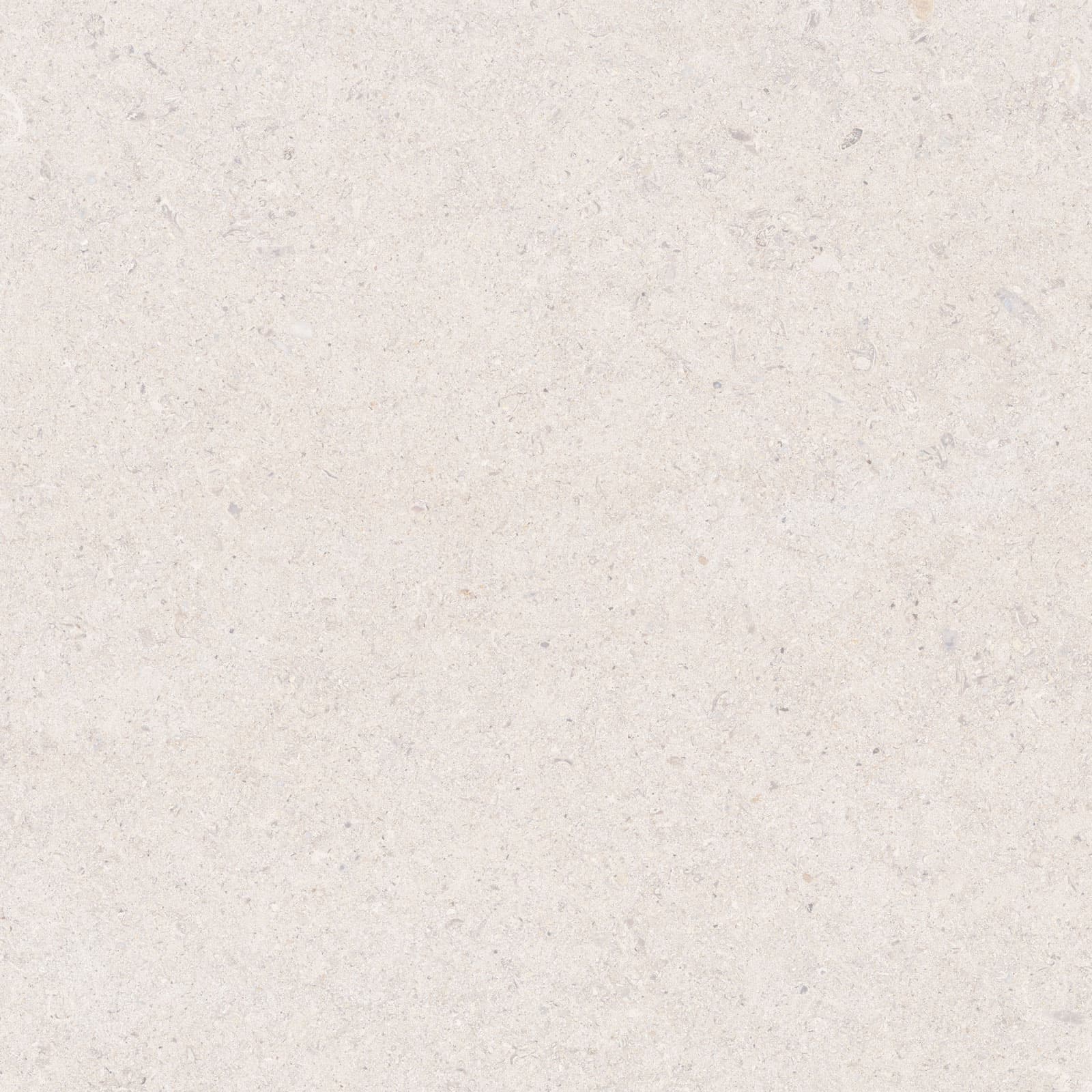 CALCARE WHITE 60X60(T)C SP