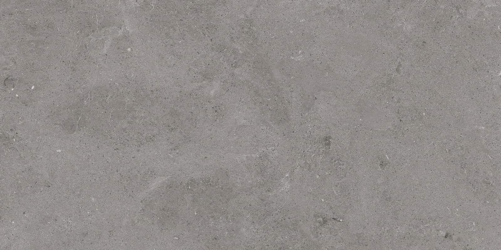 SERENASTONE GRAY 60×120(n) REC
