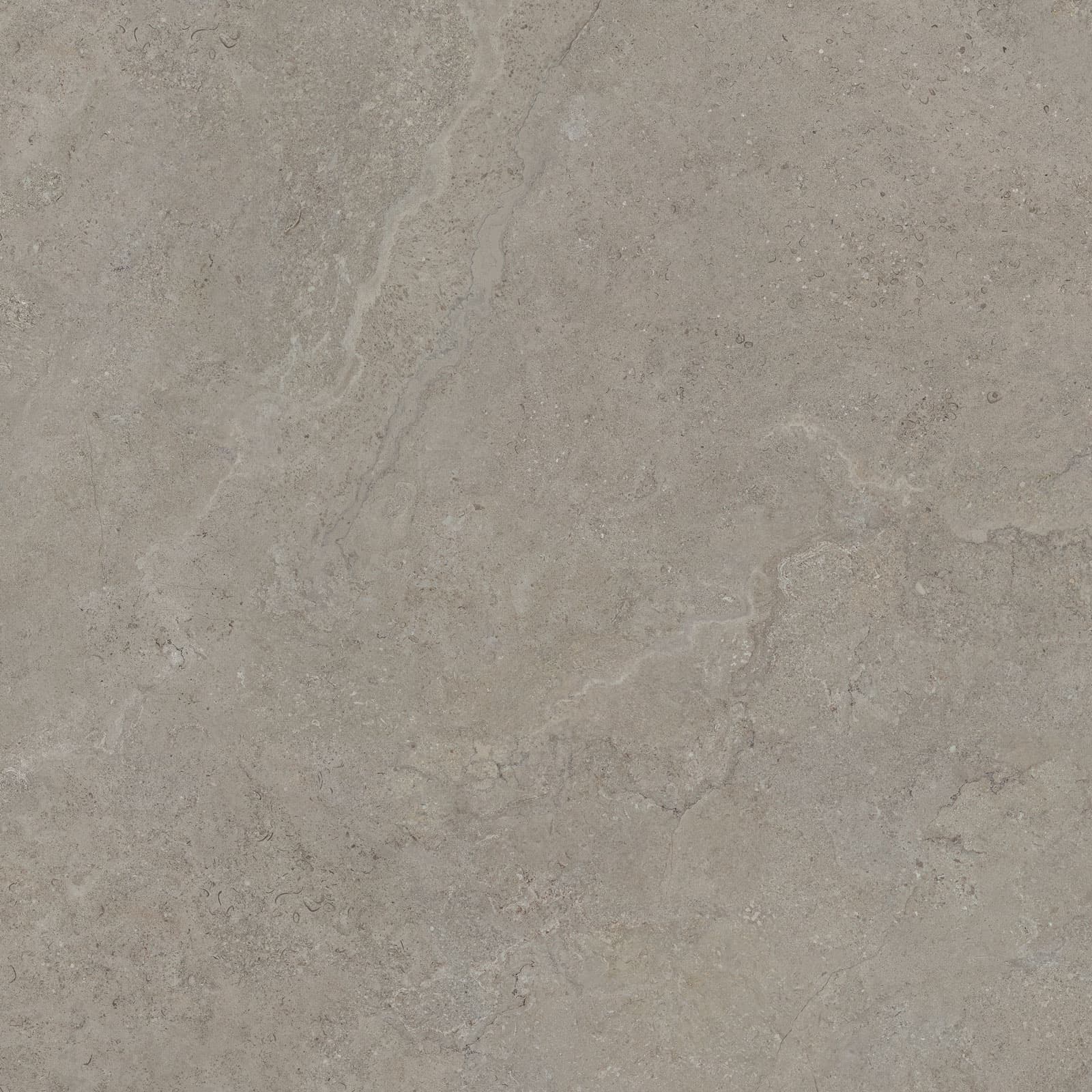 DORSET GREIGE 120X120 REC