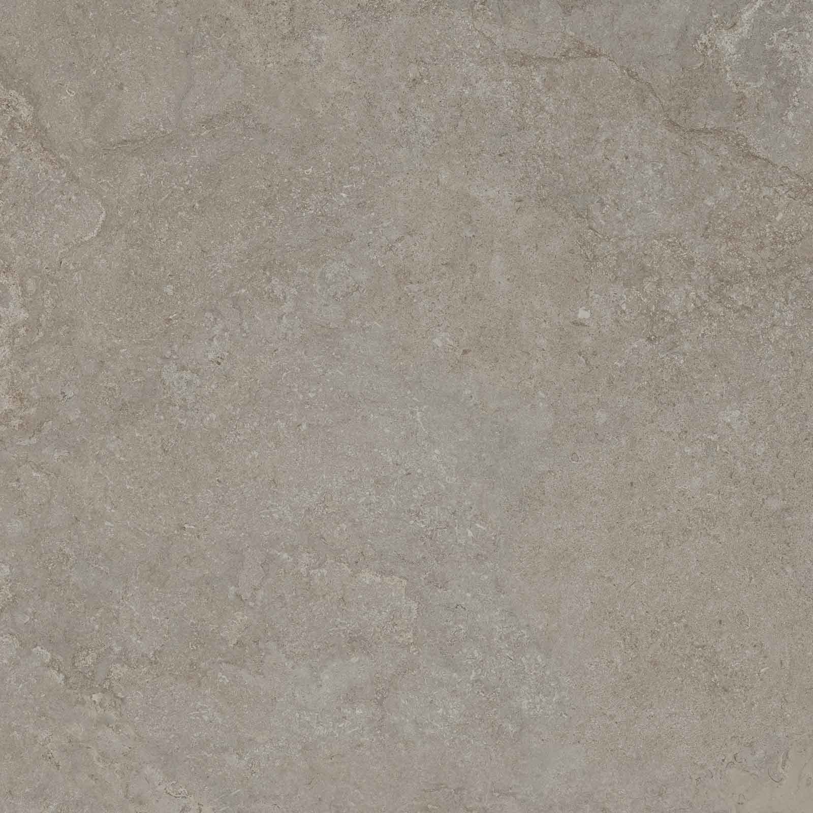 DORSET GREIGE 100X100 REC