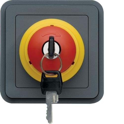 Arrêt d'urgence à clé Cubyko, Gris, 10A - 250V