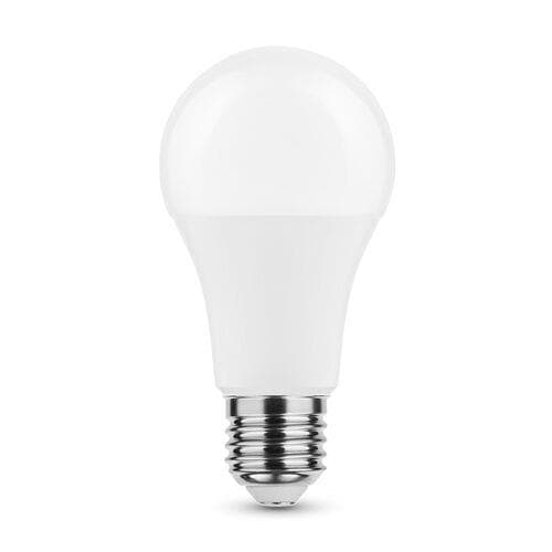 Lampe Smart lightting Led globe A65 15W H E27 270° 2700K (1521 lumen)