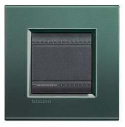 LivingLight - plaque rectangulaire 2 modules Park