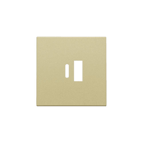 Set de finition pour double chargeur USB-A et USB-C intelligent, couleur gold coated