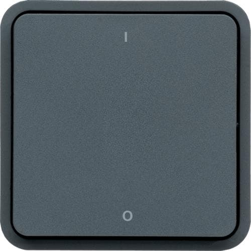 Interrupteur bipolaire Cubyko, Gris, 10AX - 250V, quickconnect