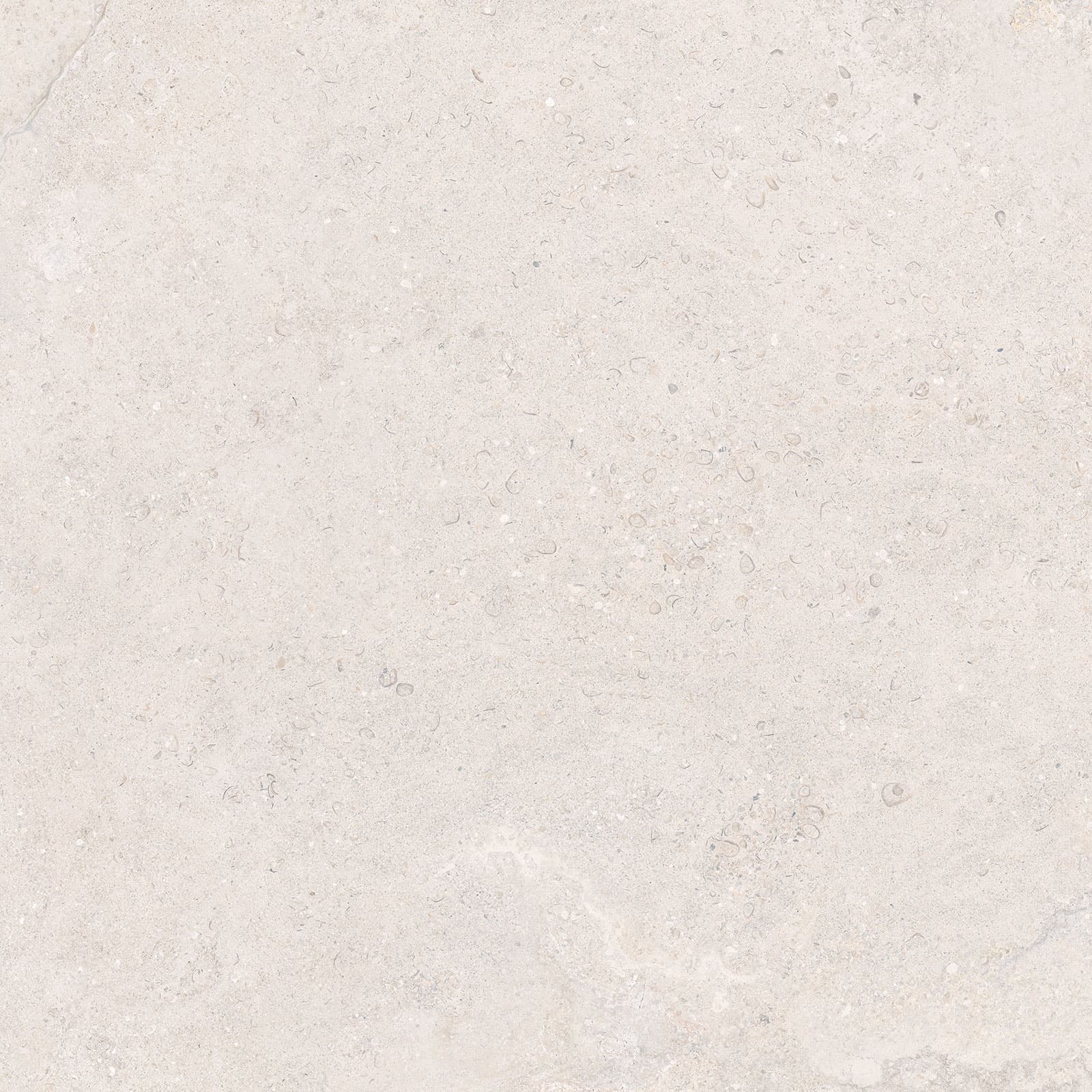 DORSET WHITE 60x60n(C) ADZ