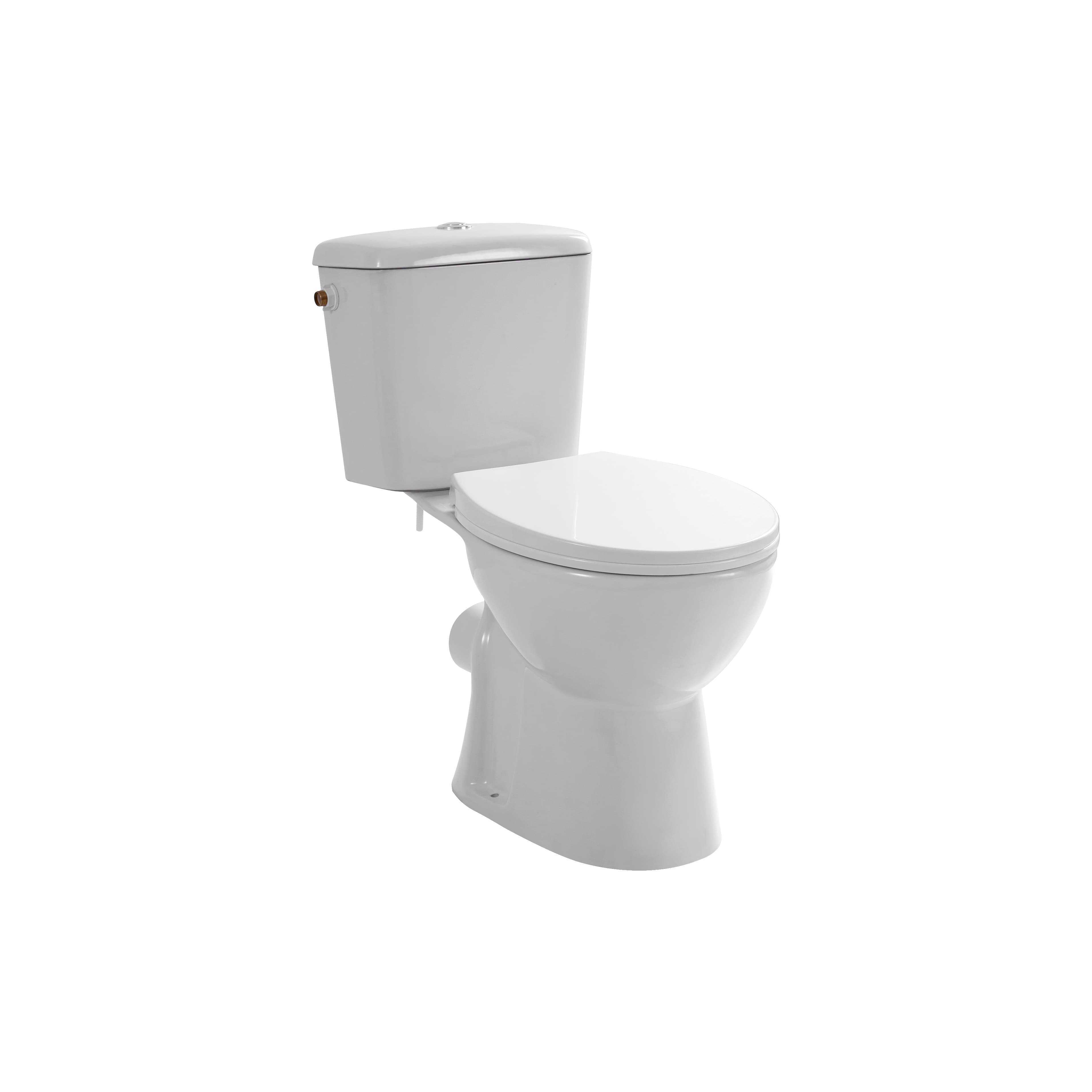 ALONI PRO DUOBLOK - CUVETTE À POSER - SANS BRIDE - P-TRAP - SORTIE MURALE - AVEC RÉSERVOIR - MÉCANISME DE CHASSE - DOUBLE CHASSE 4/6L - AVEC ABATTANT - SOFTCLOSE - QUICK RELEASE - 39X73X67 CM - BLANC