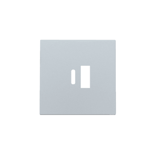 Set de finition pour double chargeur USB-A et USB-C intelligent, couleur sterling coated
