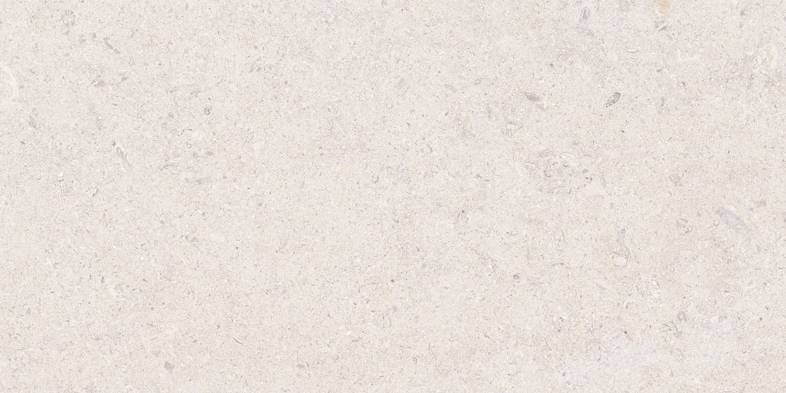 CALCARE WHITE 30X60(T)C BRU