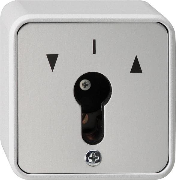 Interrupteur à clé 10 AX 250V~ pour tous les demi-cylindres profilés DIN Gris interrupteur à 2
