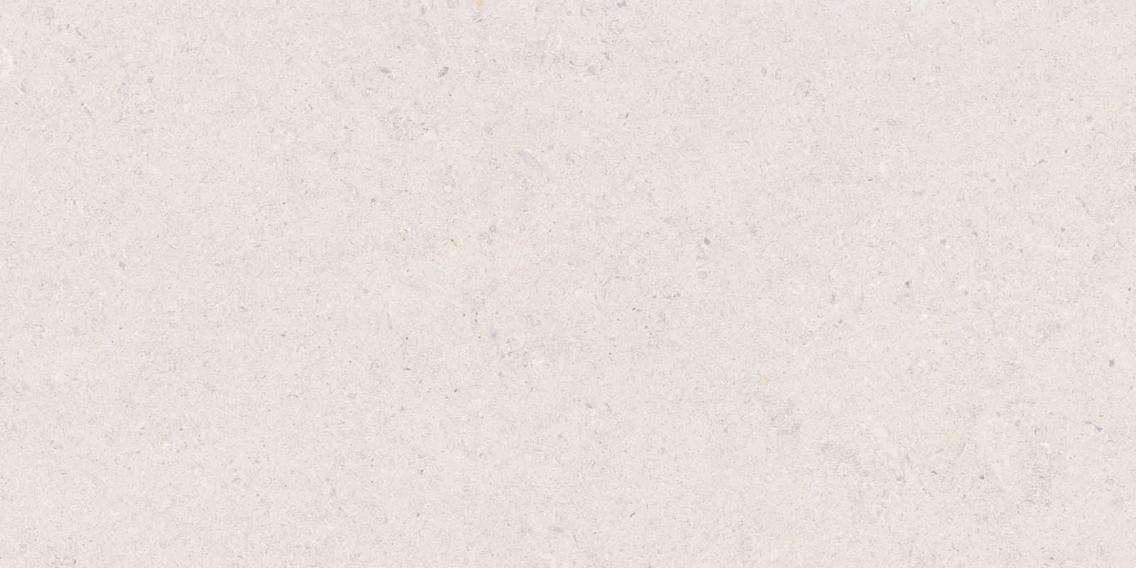 CALCARE WHITE 60X120(T)C BRU