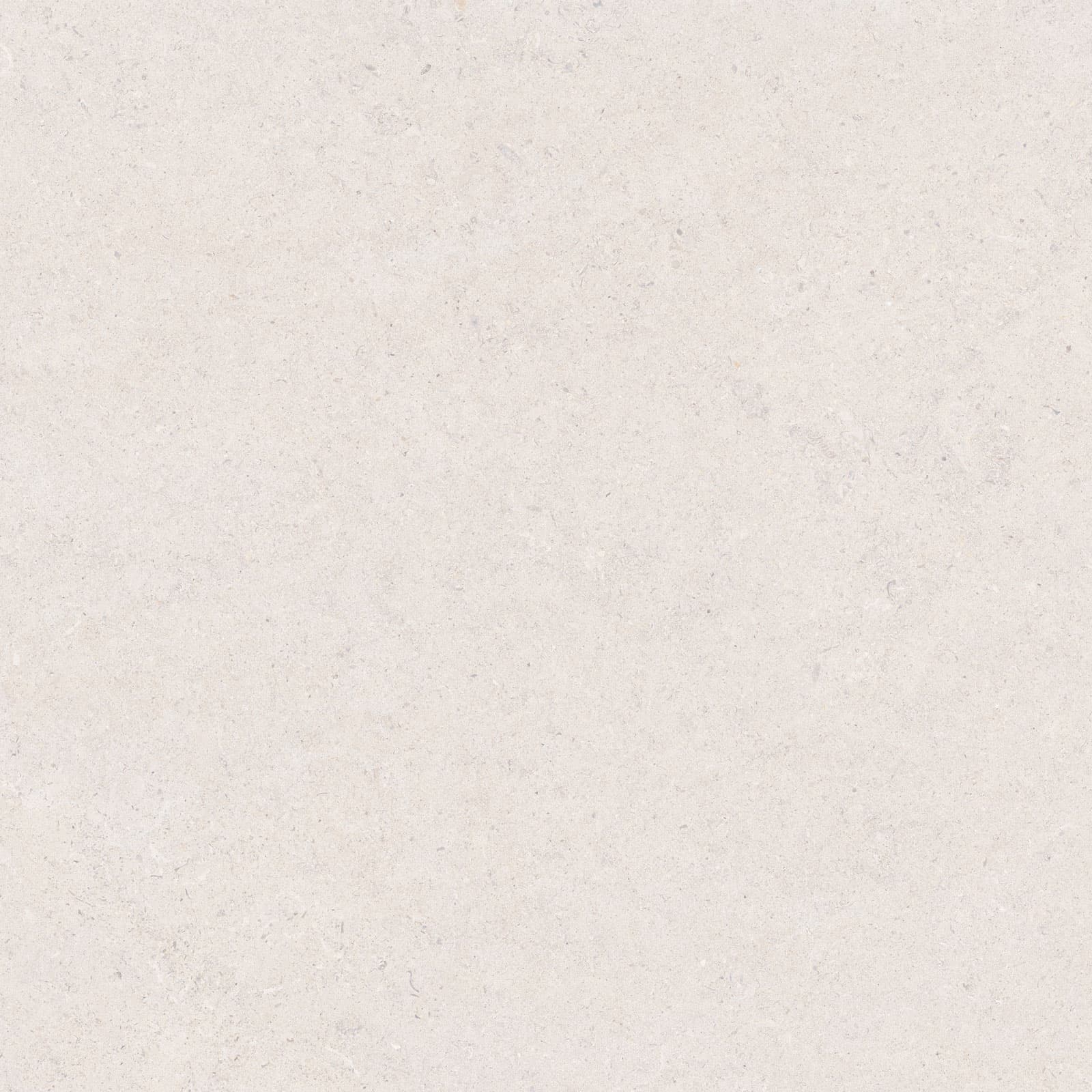 CALCARE WHITE 120×120(T) ADZ