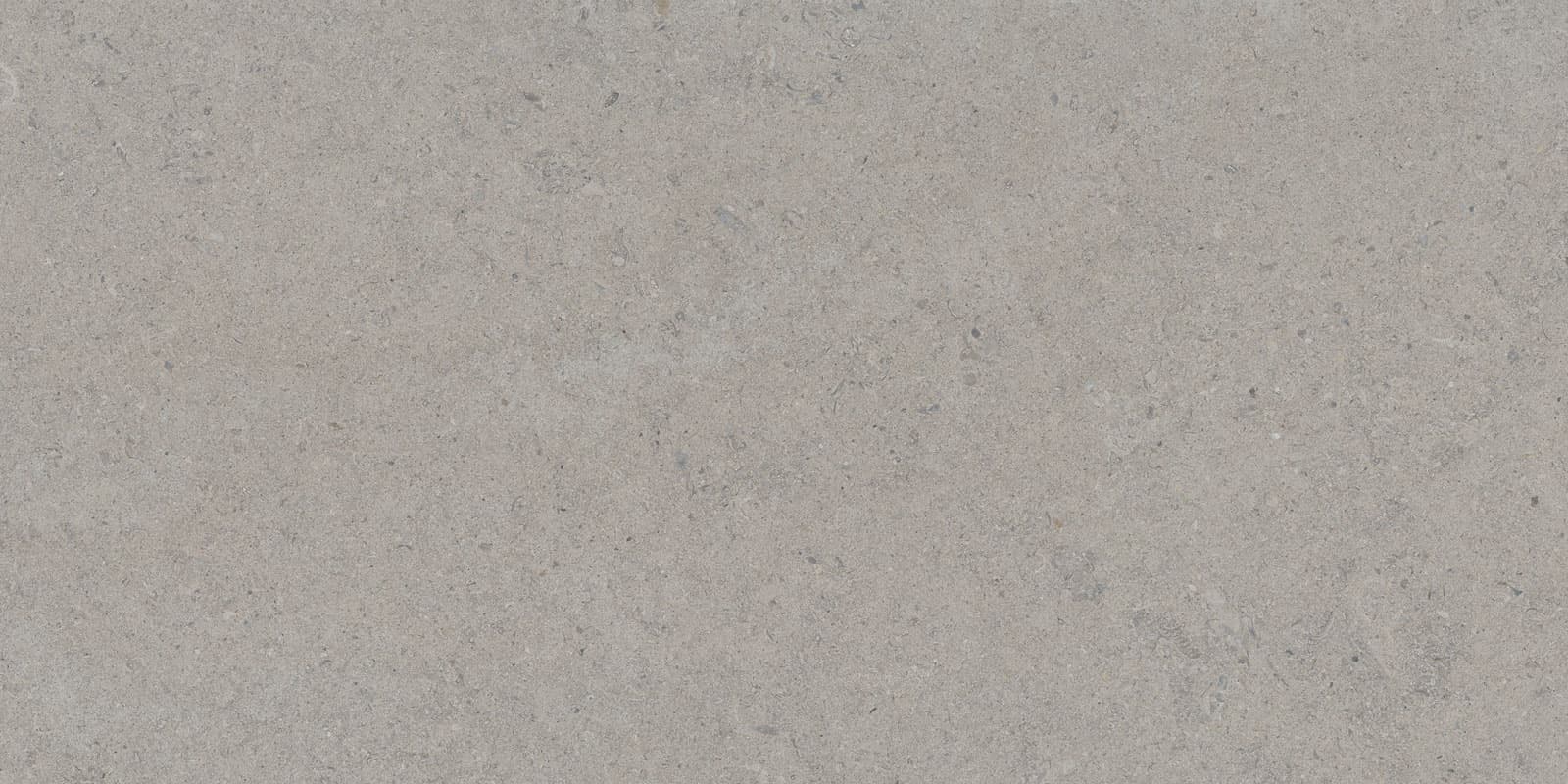 CALCARE SILVER 60X120(T)C SP