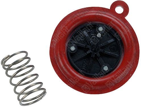 MEMBRANE VAILLANT