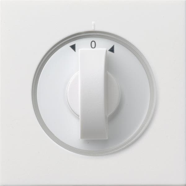 Cache avec manette pour minuterie et interrupteur ou bouton-poussoir de store Blanc brillant Par