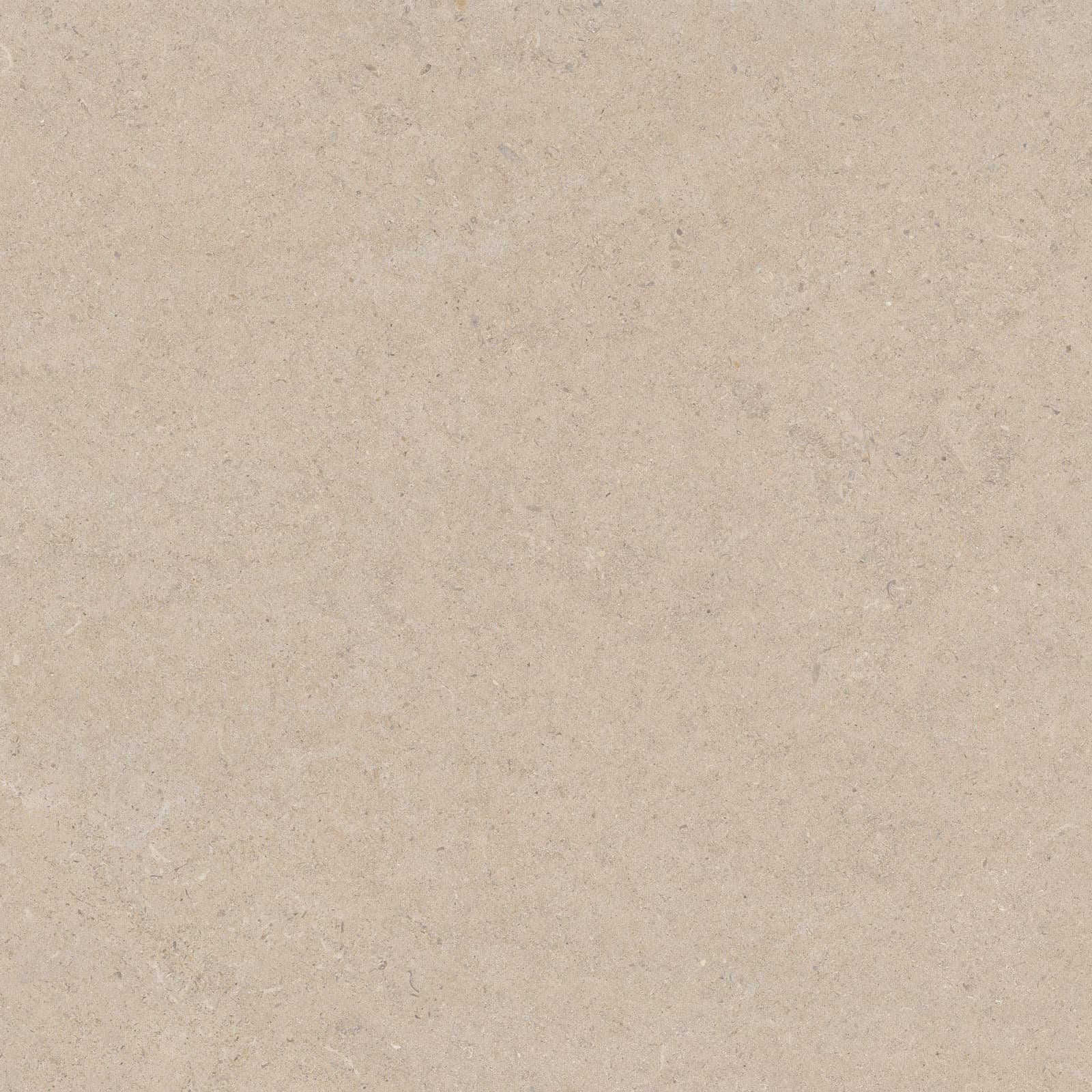 CALCARE SAND 120×120(T) SP