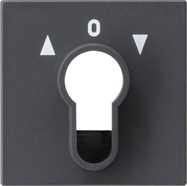 Cache pour interrupteur à clé et bouton-poussoir à clé Anthracite