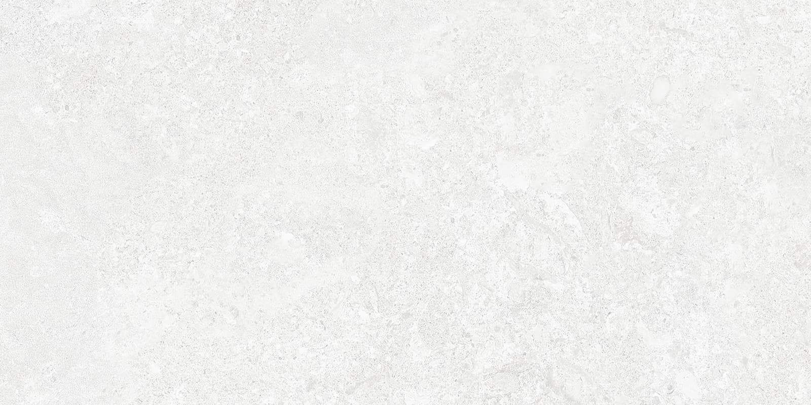 BORGA WHITE 30×60 (C ) REC