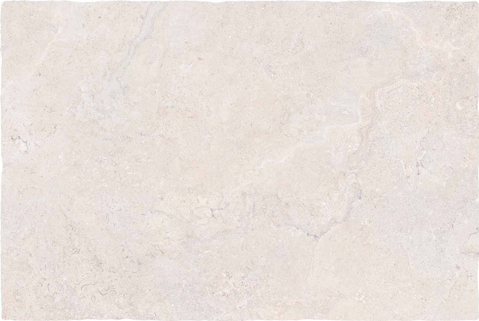 DORSET WHITE 61X91(N)20MM