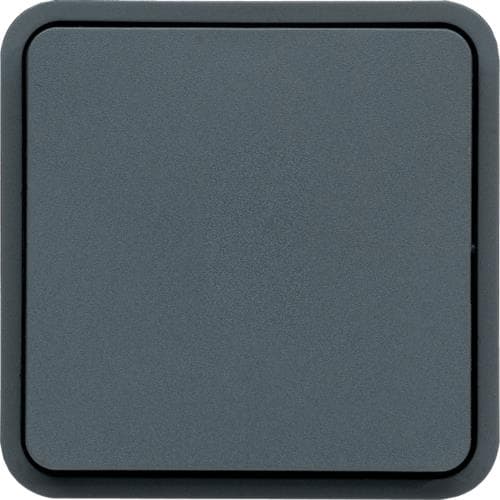 Interrupteur va & vient Cubyko, Gris, 10A x - 250V, quickconnect