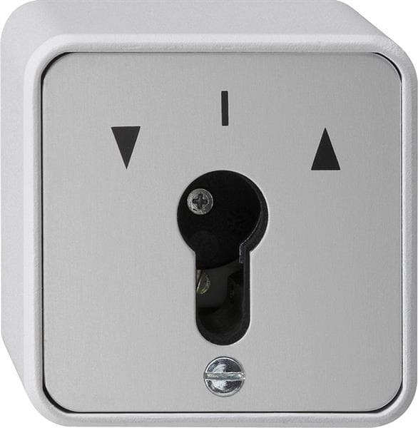 Bouton-poussoir à clé 10A 250V~ pour tous les demi-cylindres profilés DIN Gris bouton-poussoir à
