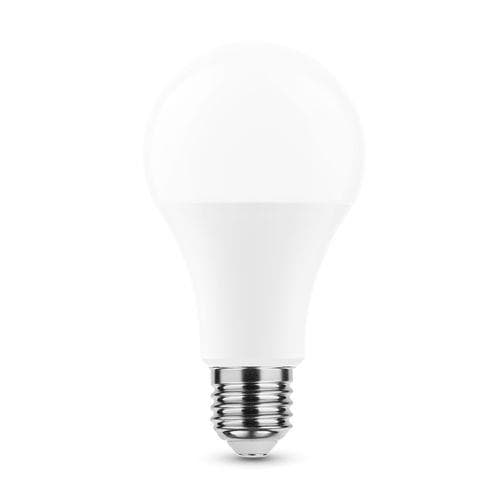 Lampe Smart lightting Led globe A65 20W E27 270° 2700K (1900 lumen)
