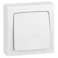 Oteo interrupteur bipolaire 10A - 250V - monobloc
