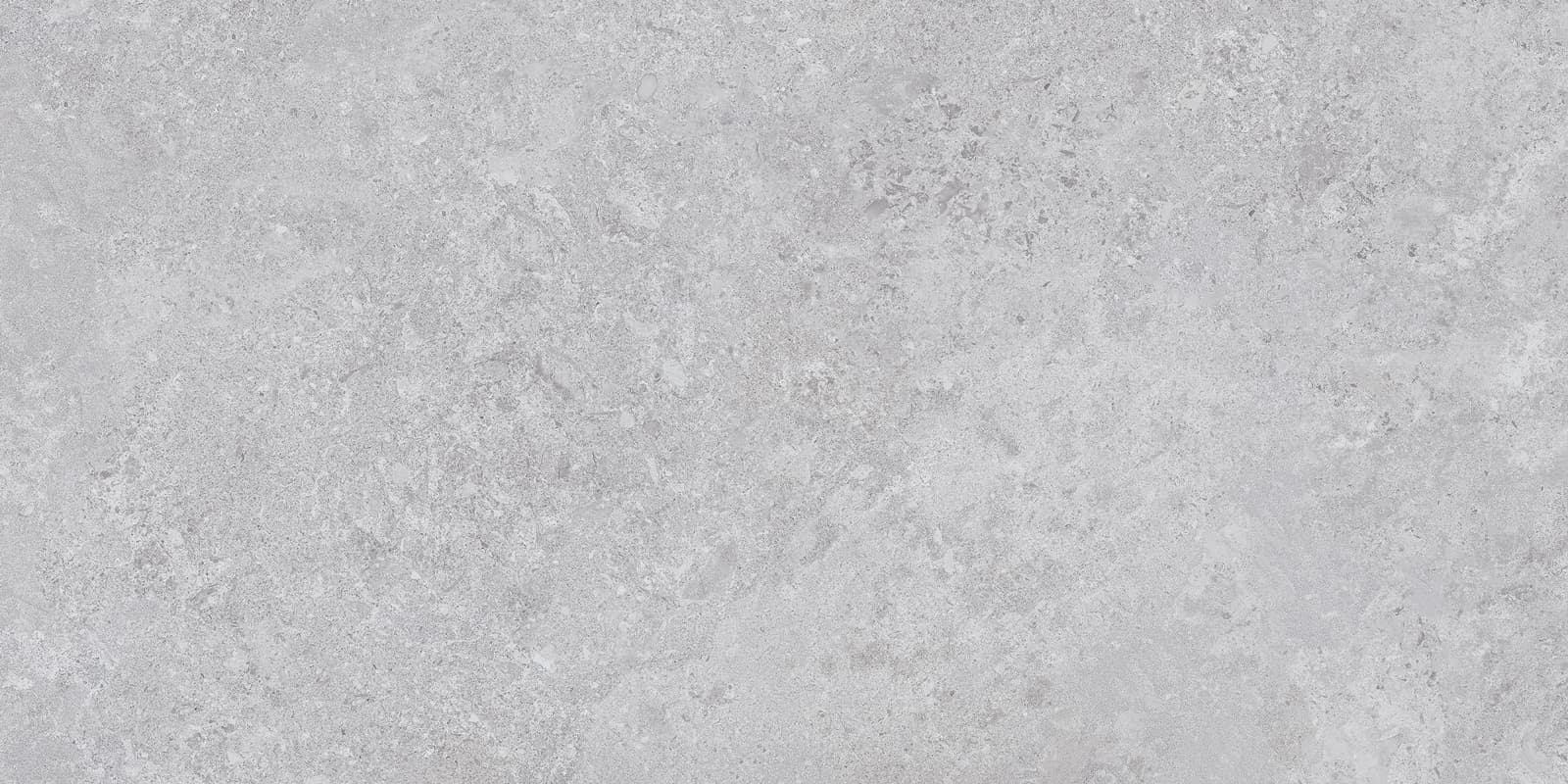 BORGA SILVER 60×120(n) REC