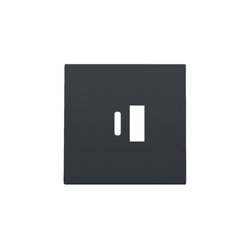 Set de finition pour double chargeur USB-A et USB-C intelligent, couleur anthracite coated