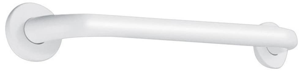 Delabie barre de maintien droite 400mm D32mm inox époxy blanc