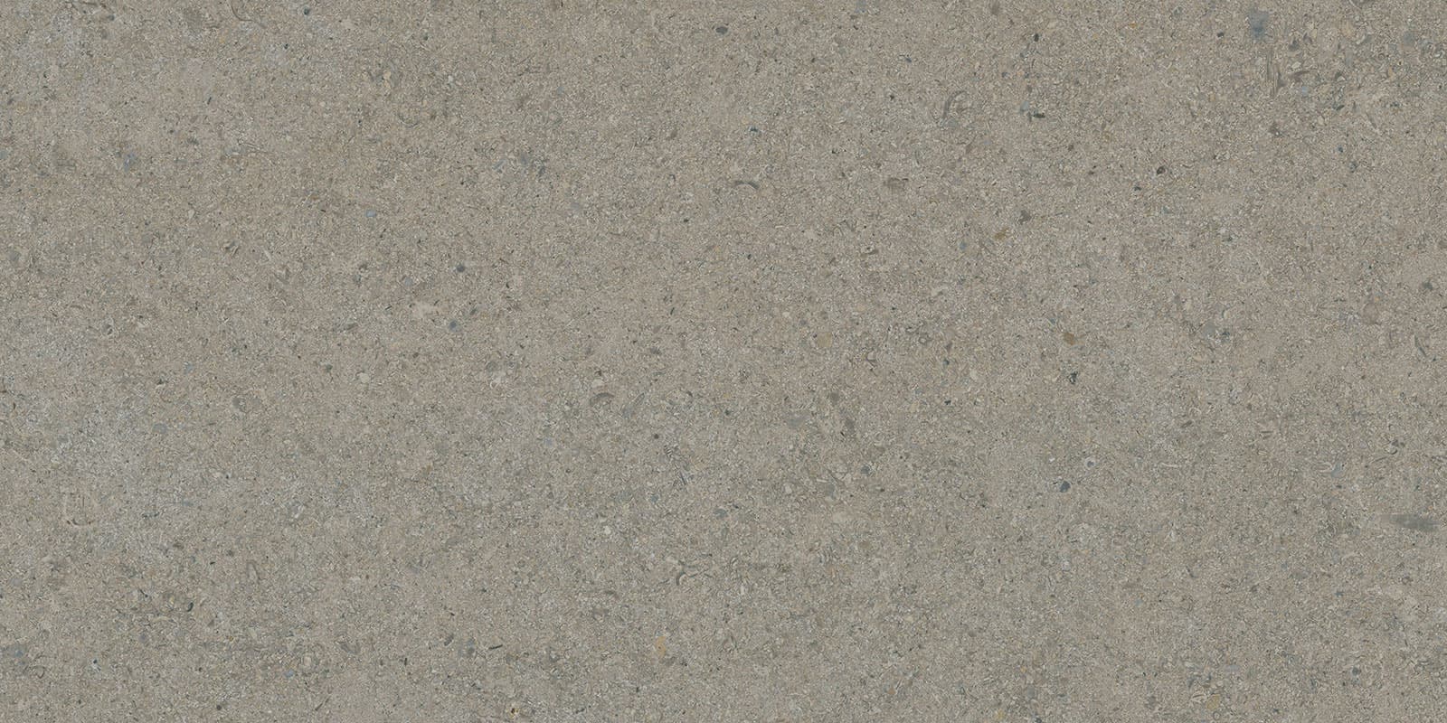 CALCARE GREIGE 30X60(T)C SP