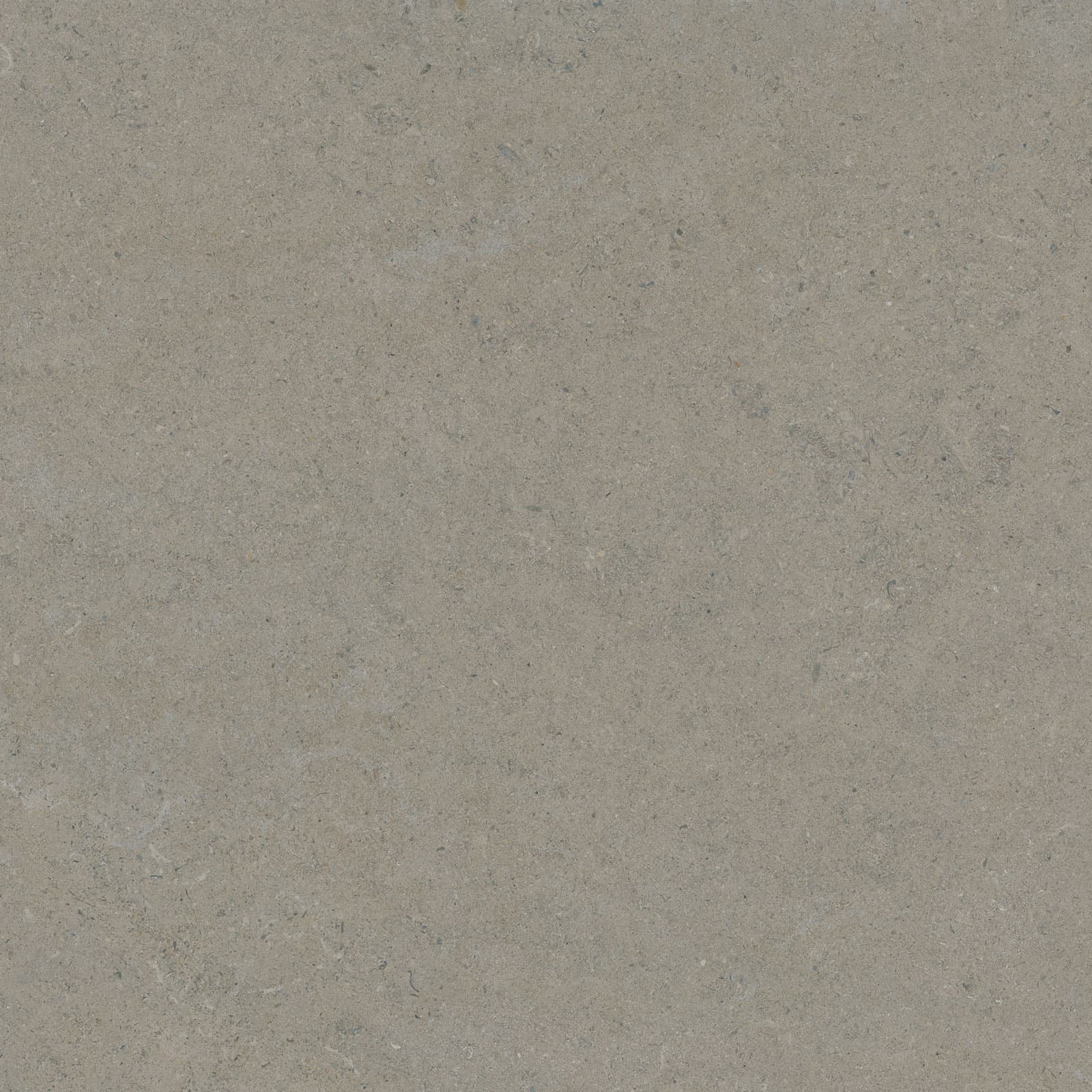 CALCARE GREIGE 120×120(T) SP