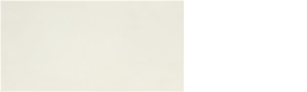P.E. ALWAYS WHITE MT 30X60 RECT. SB
