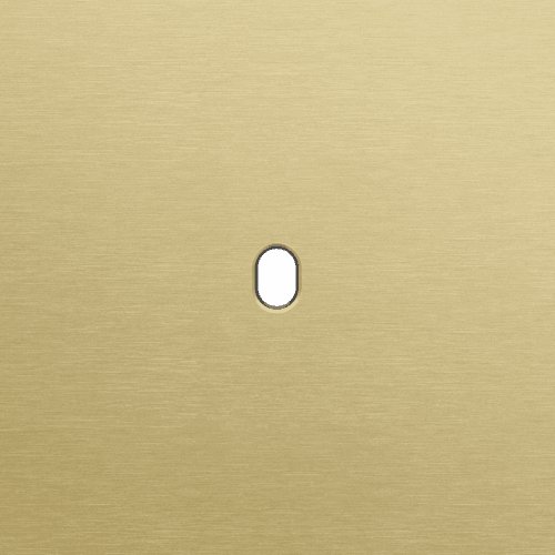 Plaque de recouvrement simple, pour des fonctions de commutation simple, couleur Niko Toggle alu gold brushed