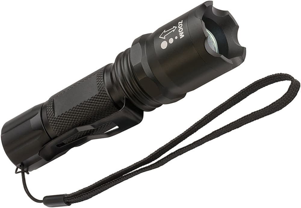 BR LUXPR.LAMPE DE POCHE TL250F