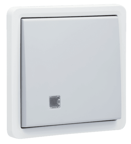 Bouton-poussoir simple éclairable, étanche aux projections d’eau 10 A, avec voyant transparent et un contact N.O. ou N.F, bornes à vis, couleur gris