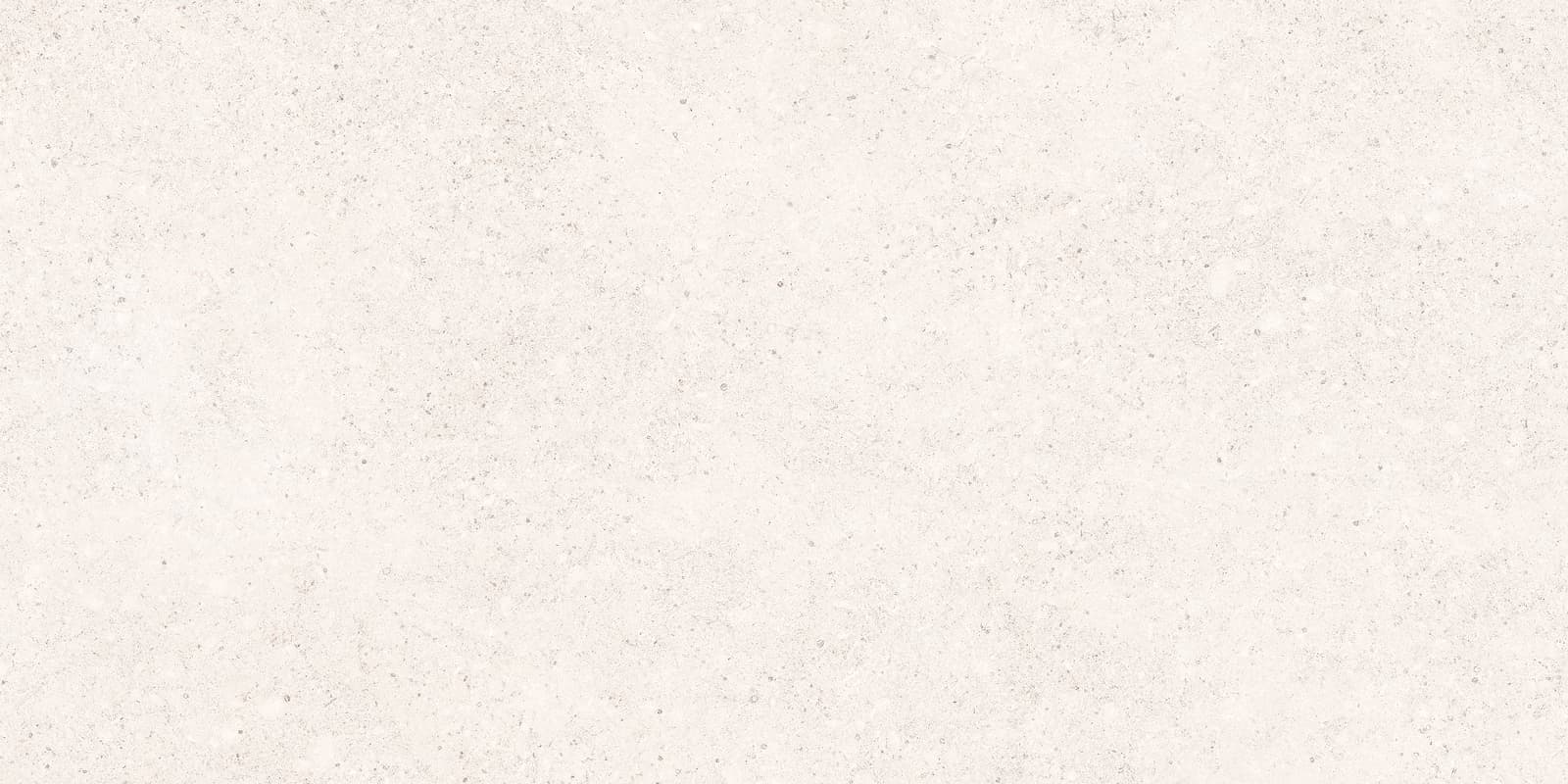 STALE WHITE 60X120 ADZ REC