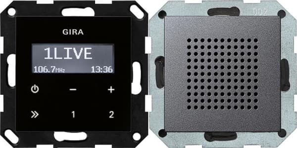 Radio RDS encastrée avec un haut-parleur Anthracite module rapporté de commande en optique verre
