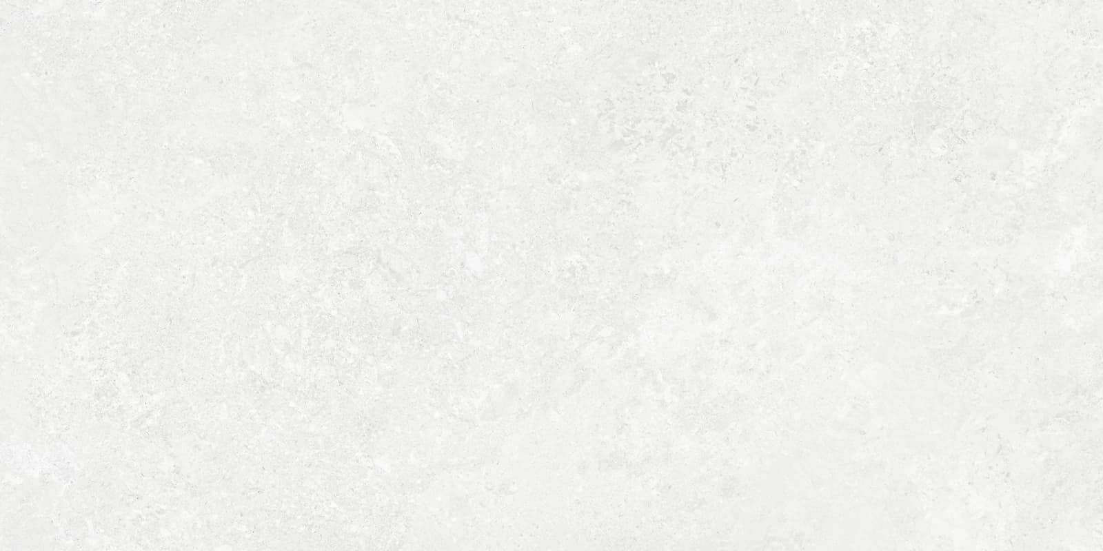 BORGA WHITE 60×120(n) REC