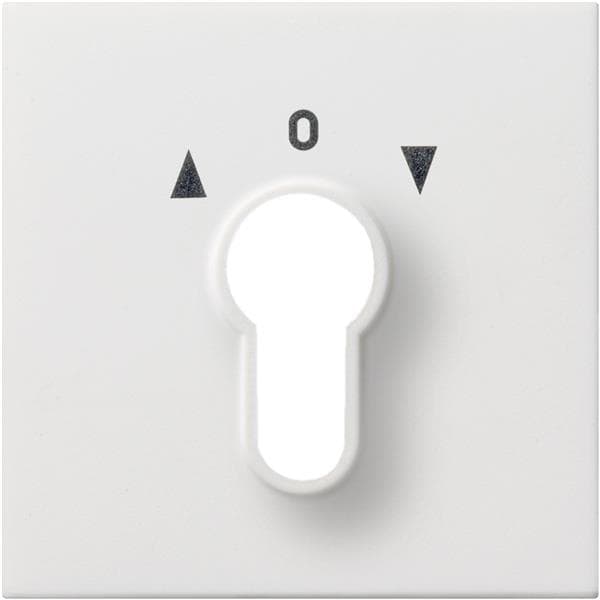 Cache pour interrupteur à clé et bouton-poussoir à clé Blanc brillant